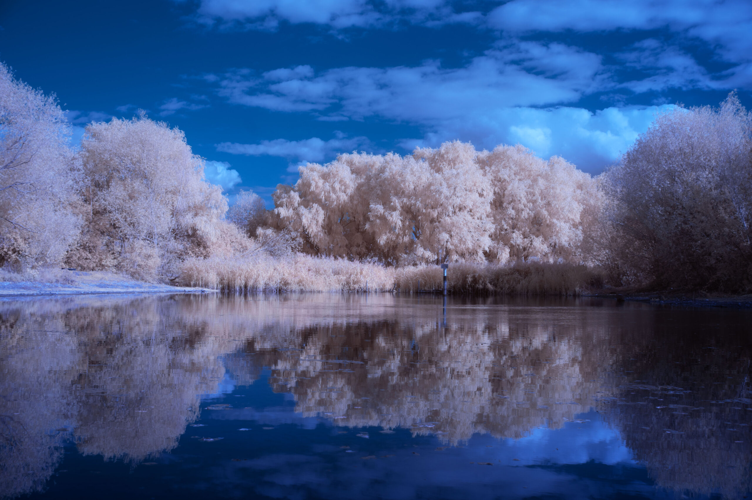 Basic false-colour IR processing tricks