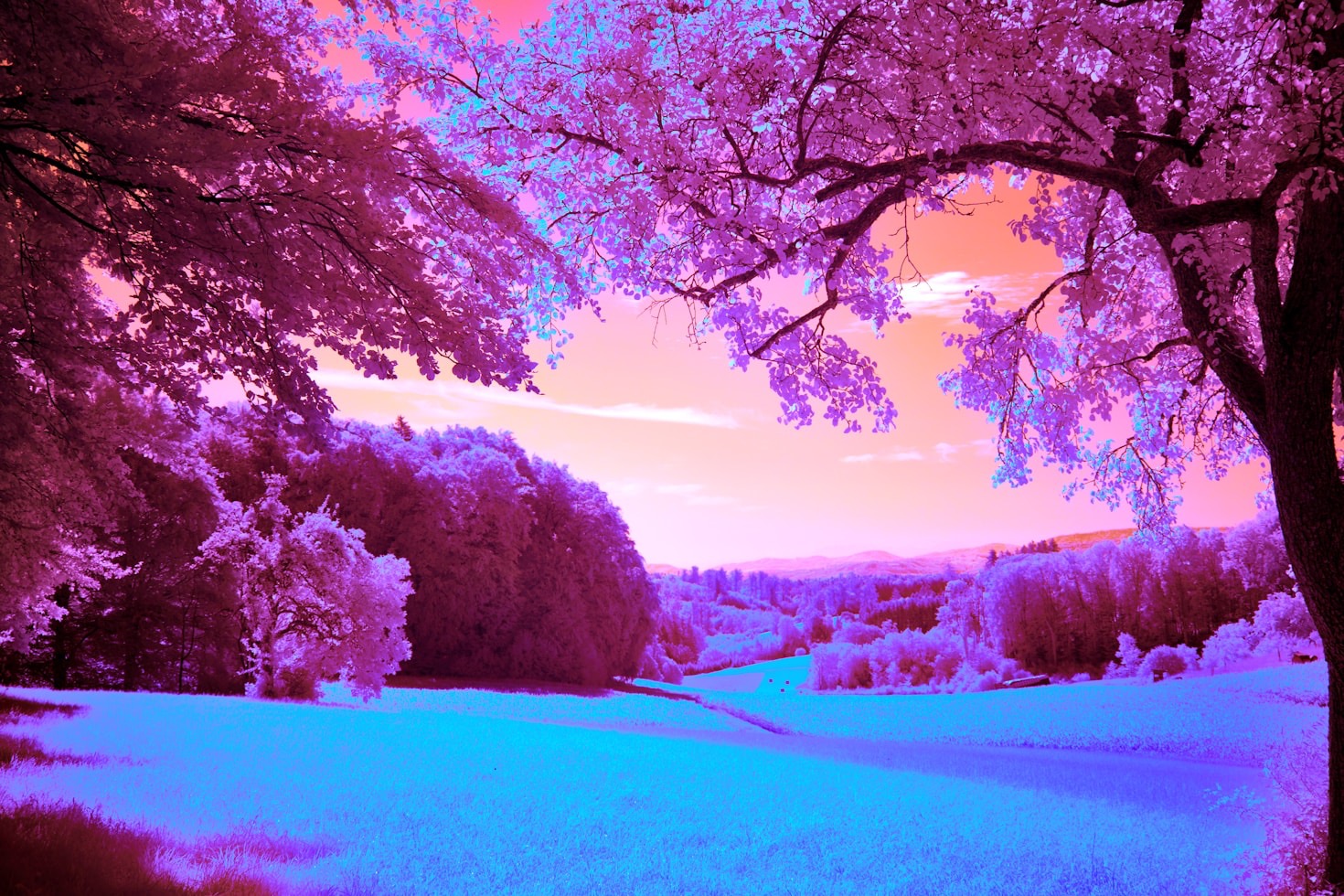 Advanced false-colour IR processing tricks