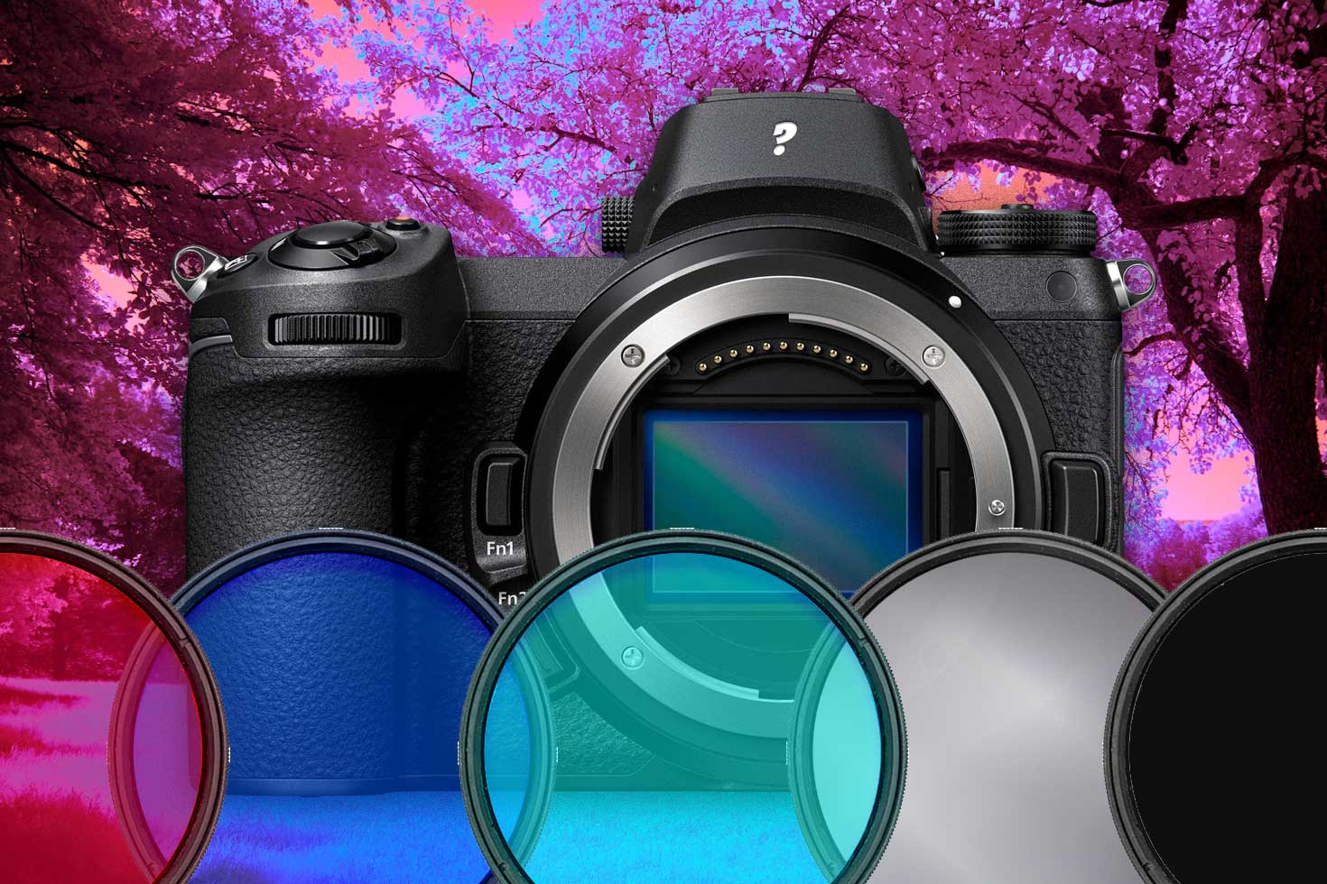 Choosing the Right Gear for Infrared Photography